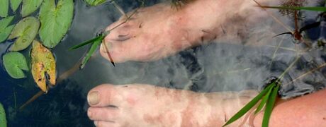 Saberes ancestrais sobre saúde natural