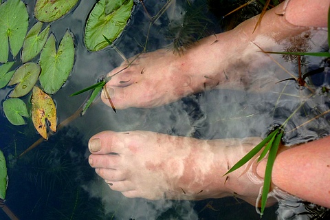 Saberes ancestrais sobre saúde natural