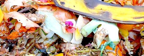 O Que É Compostagem