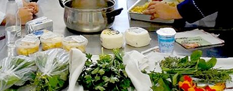 Pancs Plantas: Lista Completa de PANCs Comestíveis