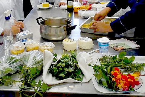 Pancs Plantas: Lista Completa de PANCs Comestíveis