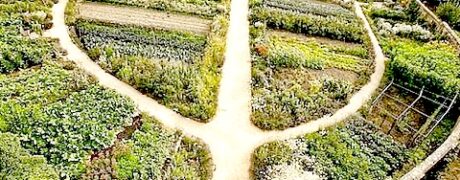 Permacultura: O Que É e Como Funciona