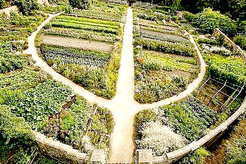 Permacultura: O Que É e Como Funciona